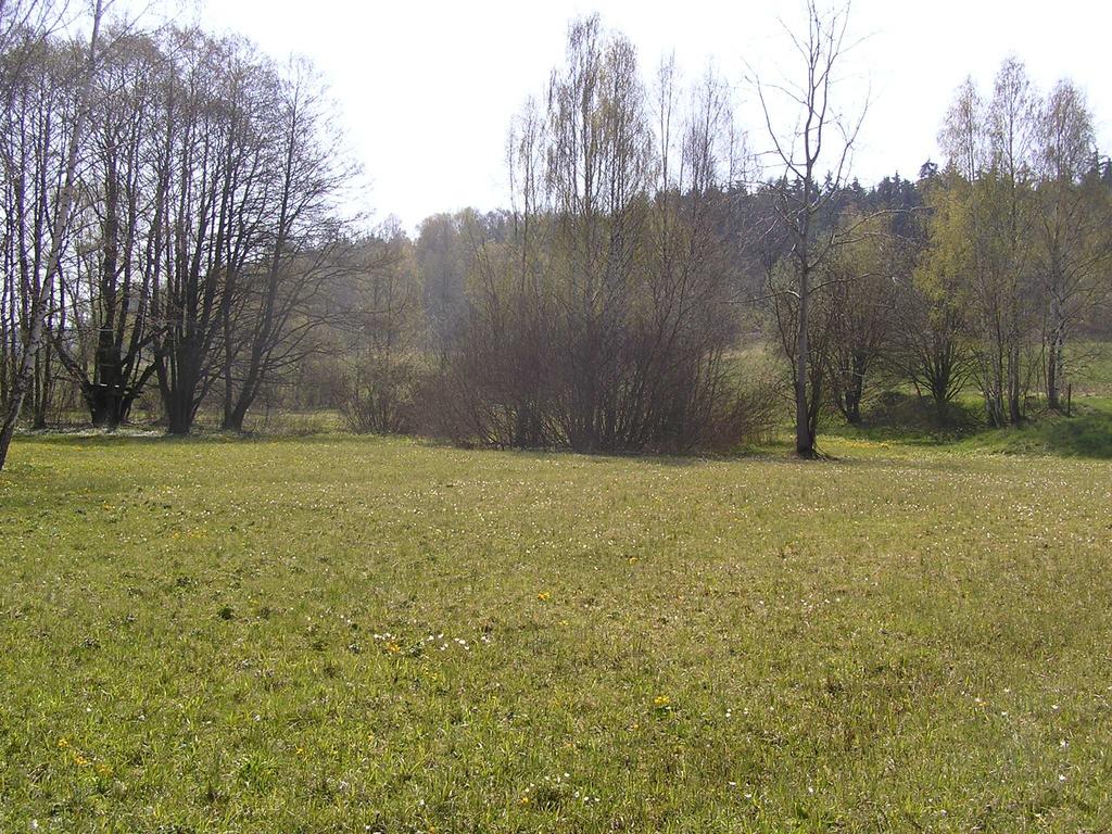 Obrázek č.