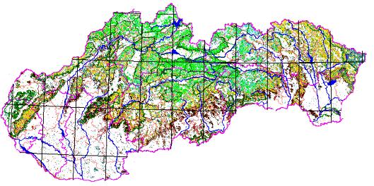 Porovnanie lesnatosti vybraných štátov (k roku 2005, v %) Maďarsko 21,5 Poľsko 30 Česko 34,3 Slovensko 40,5 EURÓPA Rakúsko 44,3 46,7 v % Druhové zloženie lesov V druhovom zložení lesov pretrváva