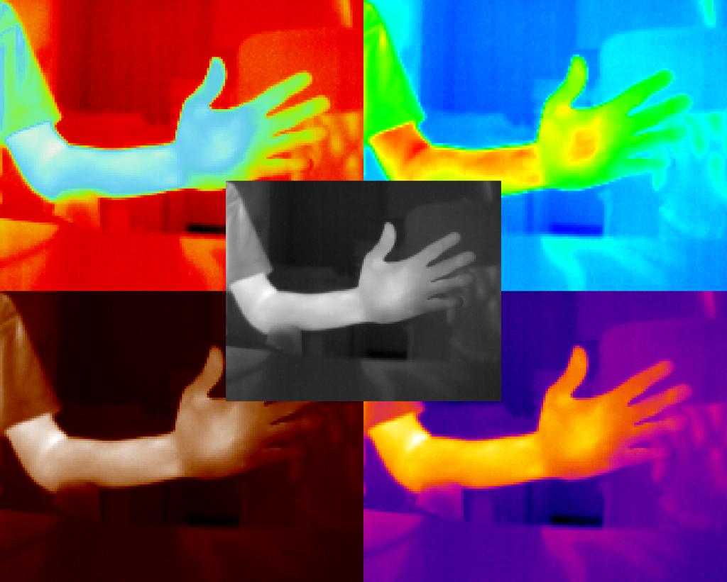 Funkce pro měření teplot v termografickém snímku kterou lze získat ukazatel na adresu v paměti, kde je uloženo dvourozměrné pole teplotních dat datového typu double.