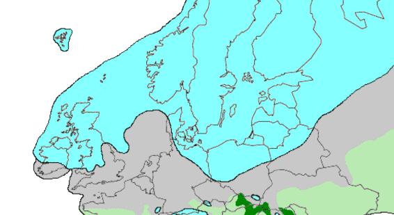 území během maxima posledního glaciálu dosahuje ledovec v Severní