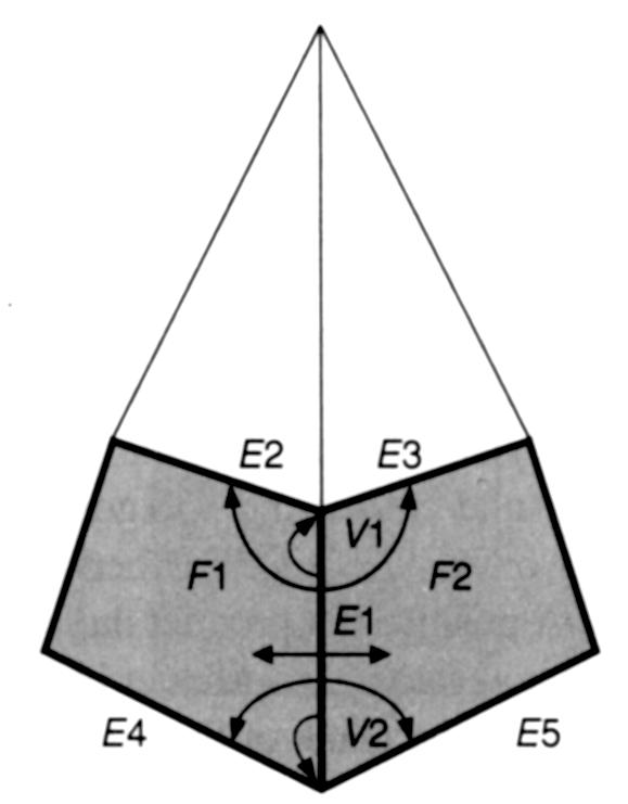 hrana má ukazatele na: své dva vrcholy dva polygony, které ji sdílejí čtyři další hrany, které z ní vycházejí vrchol má souřadnice ukazatel na jednu z hran, které z něj vycházejí polygon má Okřídlená