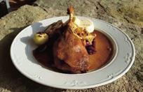 Restaurace Nový dvůr Nový dvůr 143 561 51 Letohrad