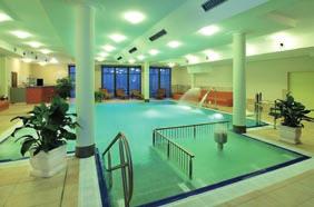 Těšit se můžete na wellness rozmazlování s horským nádechem relaxace a odpočinku - saunu, masáž, aromatickou koupel v dřevěné vaně se směsí bylinek z Orlických hor nebo vířivku.