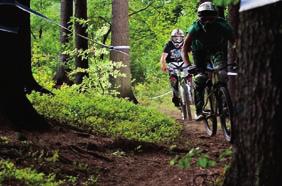 BIKEPARK a půjčovna Říčky Říčky v Orlických horách