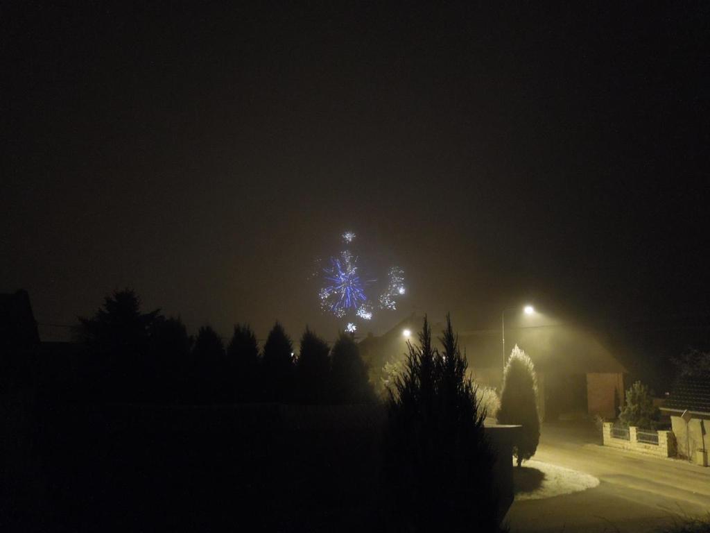 Rok 2016 se pomalu chýlil ke svému konci.