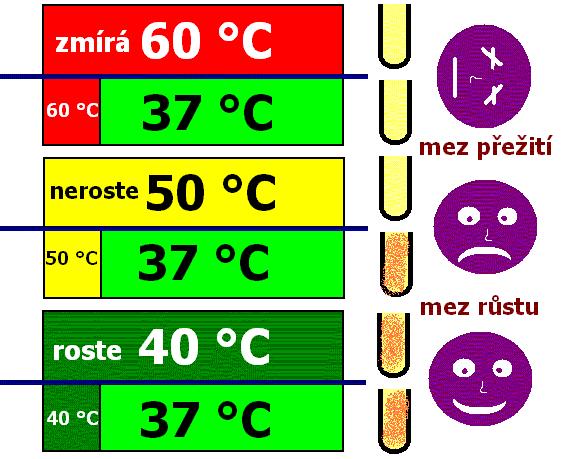 Nad čarou vždy působíme určitou teplotou 24 h Pod