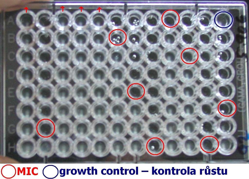 Mikrodiluční test odečítání Ve sloupcích 1, 3, 4 a 5