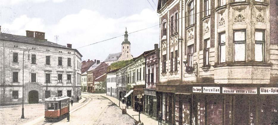DANIEL KŘENEK S holuby se potýkají všechna větší evropská města, ale i menší města a dokonce i malé obce. Holubů je přesně tolik, kolik jim dovolí podmínky prostředí.