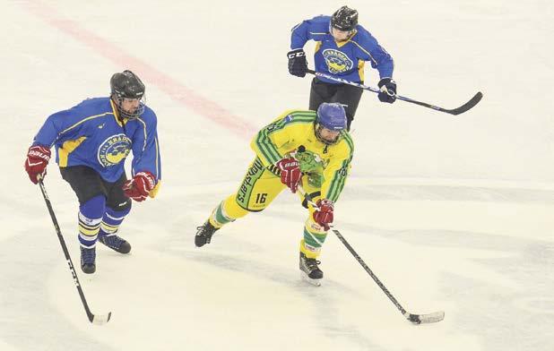 Třetiny: 1:5, 1:0, 4:1. BULDOGS STŘÍTEŽ 4:5 sn Branky a nahrávky: 5. F. Ciasnocha (F. Švarba), 12. P. Ciencala, 27. D. Till (F. Švarba), 31. J. Vanda (D. Till) 2. J. Garbulinský, 3. J. Pustowka (P.