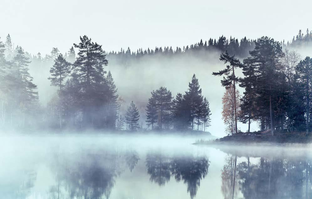 NORDIC SHIMMER Šedá obloha se odráží ve vodě a vytváří perfektní plátno pro stromy.