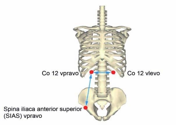 OVLIVNĚNÍ DECHOVÝCH POHYBŮ POMOCÍ INSPIRAČNÍHO TRÉNINKU S PŘÍSTROJEM POWERBREATHE Dále jsme sledovali kraniální pohyby v oblasti trupu.
