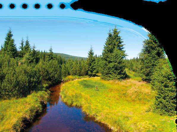 Změna klimatu představuje vážnou hrozbu, jak dosvědčují mapy předpokládaného vývoje sucha v České republice v