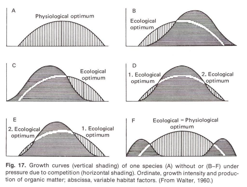 Resource (niche) partitioning Teorie niky (Hutchinson 1957) mnohorozměrný prostor popisující druh s jeho biotickými a abiotickými nároky fundamentální a realizovaná nika
