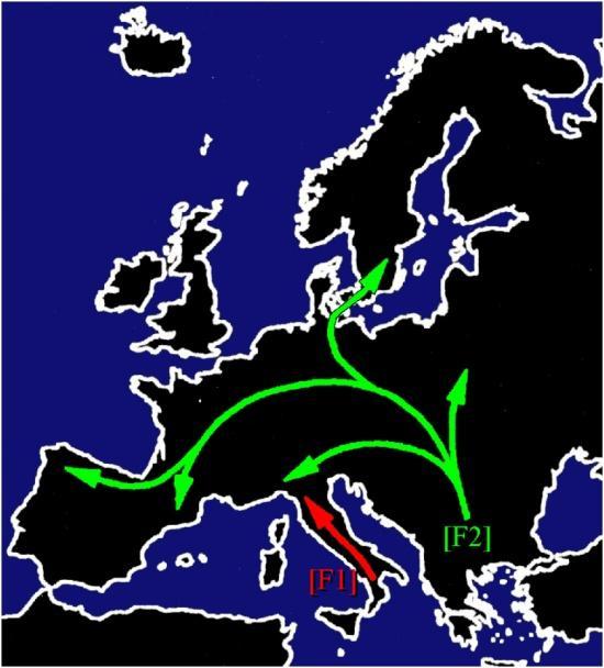 Postglaciální rekolonizace Evropy Maximální zalednění 20