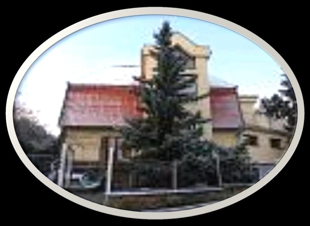 VÝROČNÍ