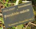 http://www.sarracenia.