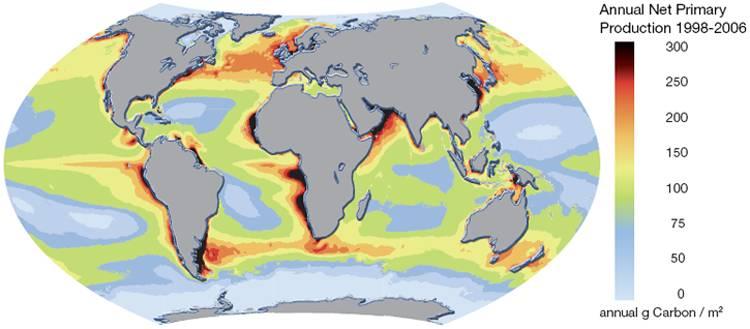 Primární produkce oceánů Souvisí s oceánským prouděním,