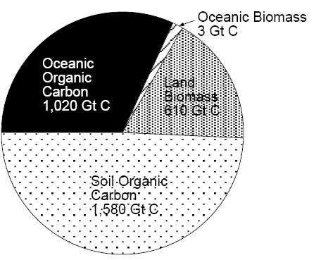Celkové zásobníky C Gt C Gt C Porovnání suchozemského a oceánského