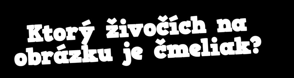 Krmivo pre zvieratá suché, pomleté seno sa ako zelená múčka vo forme lisovaných peliet pridáva do kŕmnych zmesí pre hydinu, hlodavce,