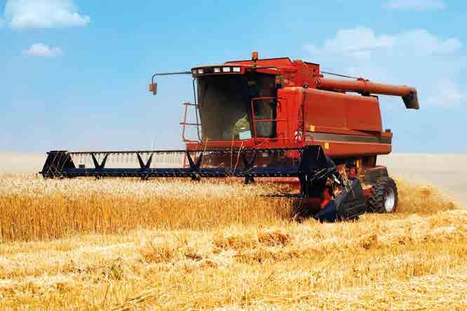 bio.logika Diví predchodcovia Otázky a odpovede