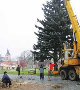 7 nadále platné. Jakákoli změna zapsaných údajů či fotografie, která neodpovídá skutečné podobě, jsou důvodem k výměně i tohoto OP.