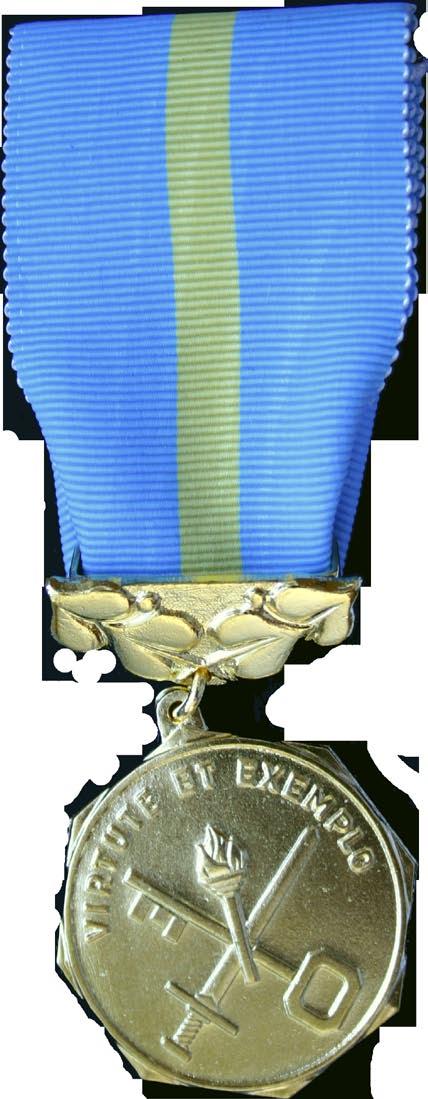 předpisu byla od 1. ledna 2009, přičemž v průběhu roku byl několikrát novelizován; od 1. ledna 2010 byl vydán nový platový předpis) NGŘ č.