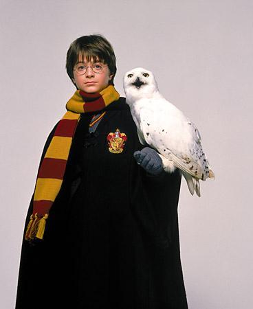 NEJZNÁMĚJŠÍ POSTAVY Z ROMÁNOVÉ SÁGY O HARRY POTTEROVI Díl první: Harry Potter Harry James Potter Narozeniny slaví 31. července.