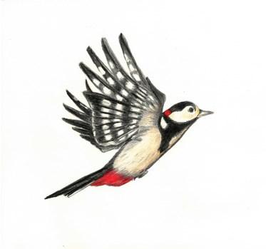 Beskydské