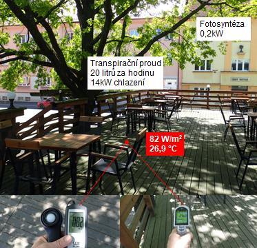 2: Povrchové teploty a intenzitu slunečního záření lze snadno měřit cenově dostupnými přístroji. Intenzita slunečního záření na osluněném chodníku je 877W.