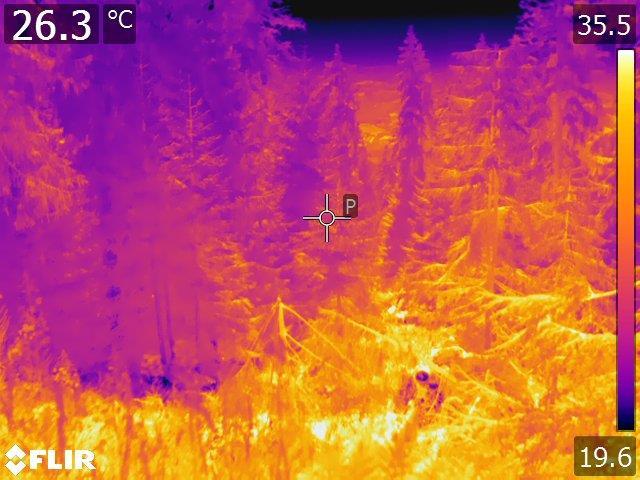 teplota kolem 35 o C.