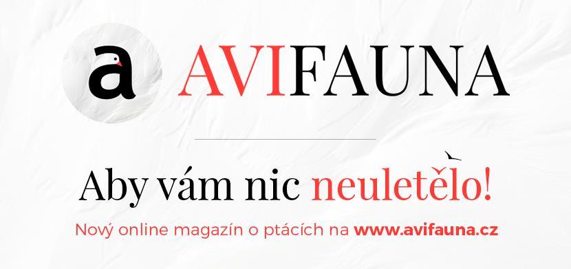Flouskem a Lukášem Viktorou. Sobotní schůze bude zahájena v 10:00. Čeká vás den plný zajímavých přednášek o ptácích a o činnosti ČSO a diskusní panel na téma ptačí migrace.