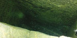 1998), Obr.