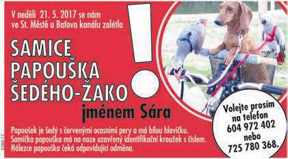 FC Slovácko za sebou mají první ostrý týden přípravy, který zakončili vítězným soubojem se Zlatými Moravci, desátým týmem slovenské nejvyšší soutěže.