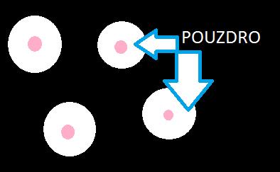 PRAKTICKÁ ZKOUŠKA 10. BARVENÍ BAKTERIÍ, MIKROMYCET A PARAZITŮ o Opláchneme vodou, usušíme, pozorujeme imerzním objektivem 4.