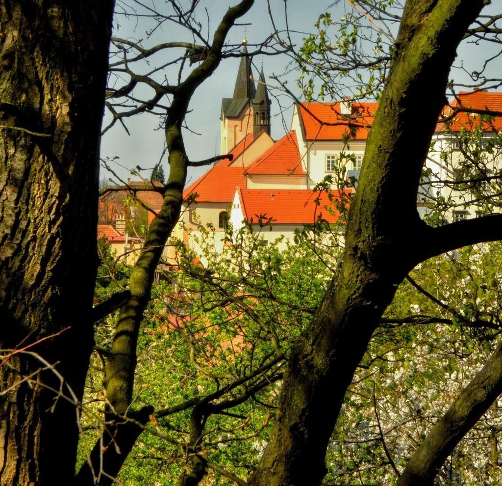 organizace Chvalský
