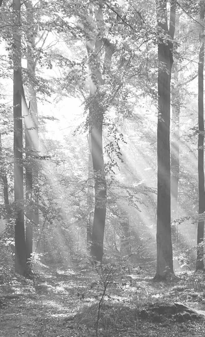 Ecophon je předním dodavatelem akustických řešení, která přispívají ke zdravému vnitřnímu prostředí, podporují pracovní výkon a pohodu koncových uživatelů.