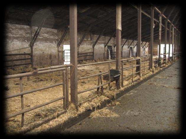 Hluboká podestýlka je vhodná pro kategorii nelaktujících krav, tedy pro krávy v období stání na sucho. Systém a jeho funkčnost je plně závislý na managementu péče o podestýlku (čistota krav apod.).