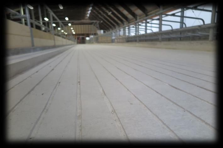 Pevné podlahy Kvalita betonových podlah je pro zdraví končetin chovaných krav rozhodující.