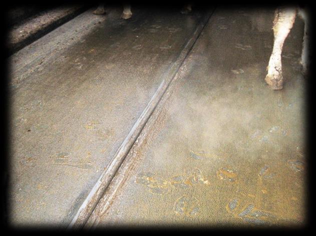 Četnost odklizu mrvy a kejdy Kvalita podlah může mít vliv na výskyt onemocnění končetin ve dvou rovinách.