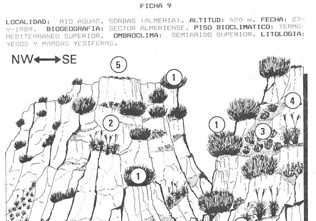 Obr. 14 Společenstva na