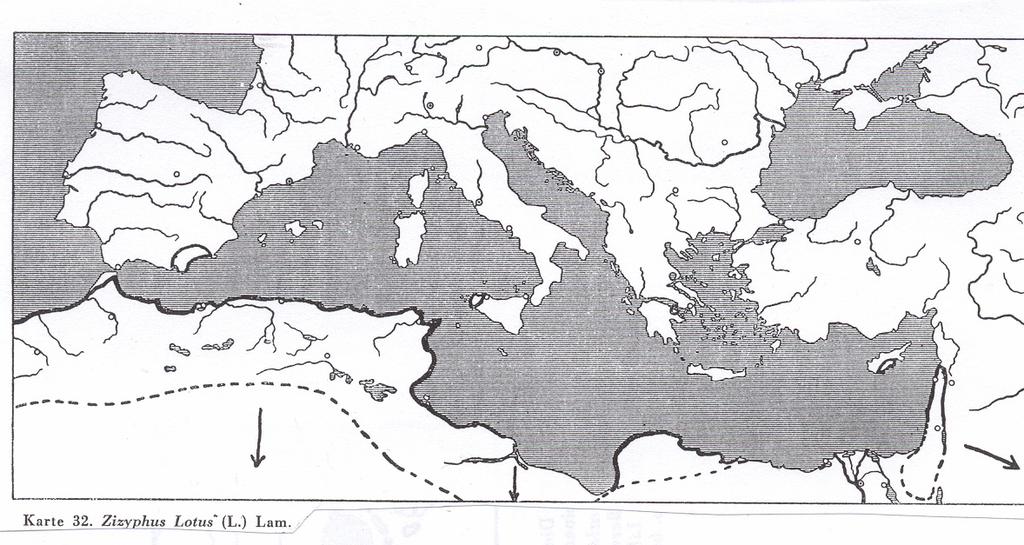 Přírodní poměry Španělska a Andalusie obzvlášť Většina vnitrozemí Iberského poloostrov je tvořena náhorní plošinou nebo mělkými pánvemi (Starokastilská, Novokastilská) celé území se obvykle nazývá