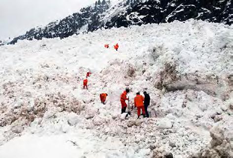 strukce celého areálu Hrochova Týnce bude i návrh ideálního rozmístění nově vzniklých budov, pohybu vozidel a vybudování dostatečného počtu parkovacích míst pro nákladní a osobní vozidla.