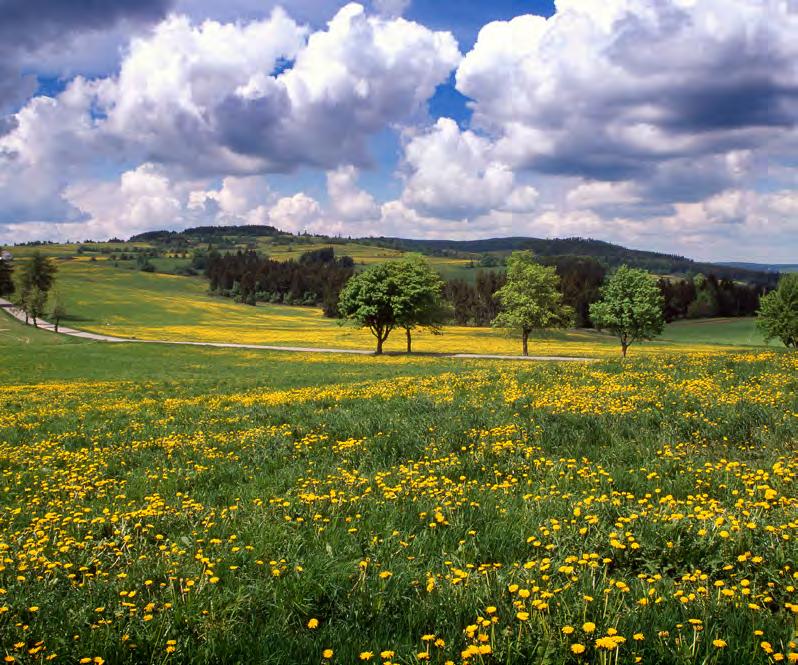 PROSTŘEDÍ 62