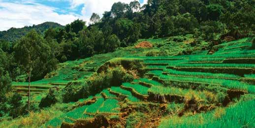 NEHOTELBUSOVÝ ZÁJEZD Bajawa Ruteng Kanawa Komodo Bali 1500 23000 Eude Dempasar zájezd termín cena zájezdu letenka orientační cena 19460-01 01.05. 18.05. 62.000,- 18.