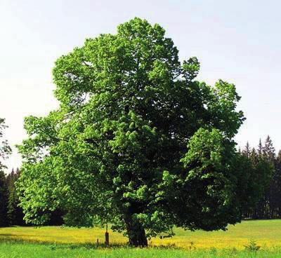 2 Život v našem městě 46 Zpravodaj 0/208 47
