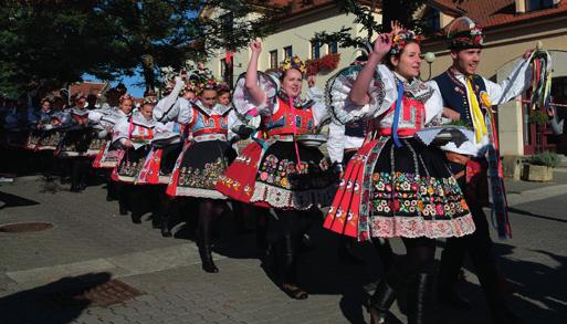 Život v