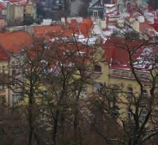 Investor sanace TSK hlavního města Prahy následně veřejnou soutěží vybral zhotovitele sanace mostu, kterým se stalo sdružení společností Dálniční stavby Praha, a.s (dnes STRABAG a.s.) a SMP CZ a.s. (zajímavostí je, že se jedná o přímého nástupce původního zhotovitele mostu Závodu 2 státního podniku Stavby silnic a železnic).