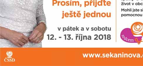 Po celou tuto dobu jsem hodně jezdila po všech obcích a nebyla jsem pouhou kladečkou věnců, jak o mně tvrdí pan Okamura.