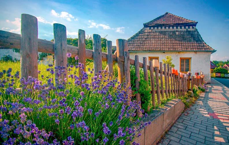 OBČASNÍK CHÝNOVSKA číslo 116 ZDARMA červenec 2018 Uvnitř čísla: 8 Zprávy z matriky 11 Jaro v knihovně 14 Hasiči slavili svých 140 let 16 85. výročí fotbalu 21 Veterán klub KALENDÁŘ AKCÍ ČERVENEC 4. 7.