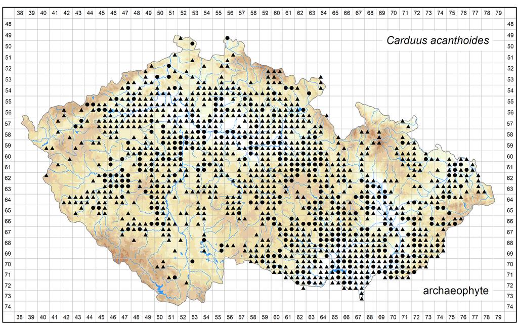Distribution of Carduus acanthoides in the Czech Republic Author of the map: Jitka Štěpánková Map produced on: 08-08-2017 Database records used for producing the distribution map of Carduus